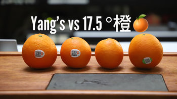 今年谁更值得买？YANG’S杨氏 PK 农夫山泉17.5°橙