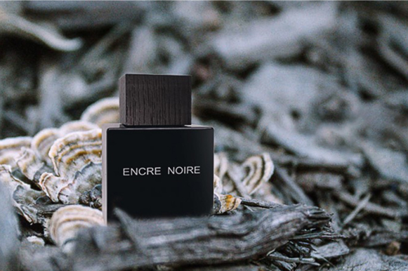 香水世界：适合冬季的10款宝藏男士香水，高人气的东方调、木质调都有！