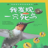 给孩子的硬核科普读物：《我发现一只死鸟》如何阐释生命从诞生到死亡
