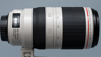 我的摄影器材 篇七：Canon EF 100-400mm f/4.5-5.6L IS US