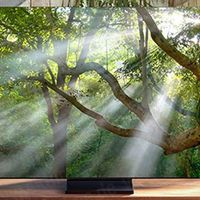 真·无边框8K电视：SAMSUNG 三星 将展出Q900T和Q950T 8K QLED智能电视
