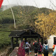 The Nice Food？TNF莫干山国际越野赛35km组“玩”赛记