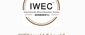 红酒课程学习：IWEC LEVEL 1品酒师认证分享