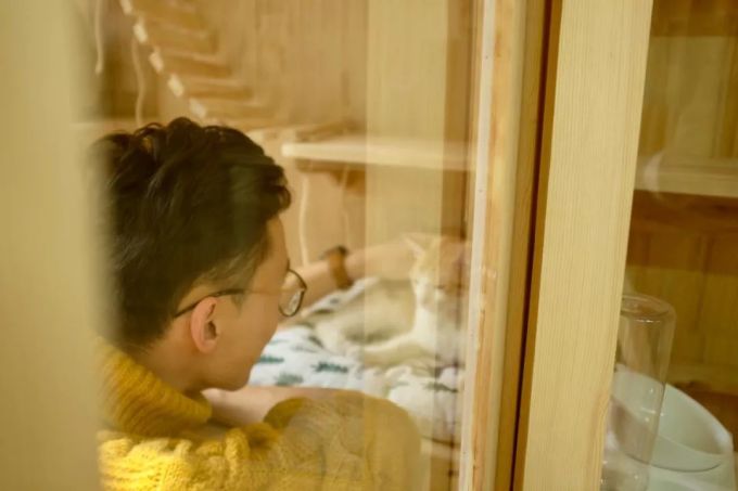 心理学出身的90后大男孩,在海珠区开了间「撸猫赚钱」的宠物店