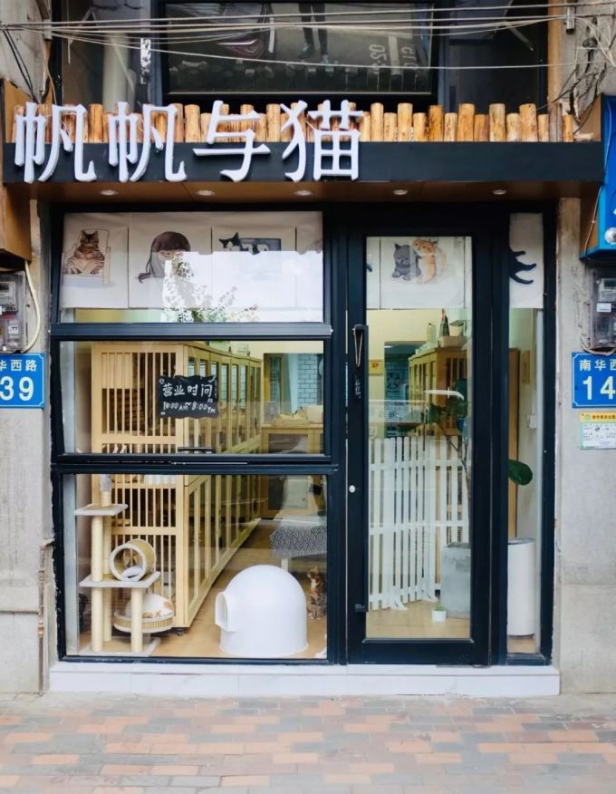心理学出身的90后大男孩,在海珠区开了间「撸猫赚钱」的宠物店