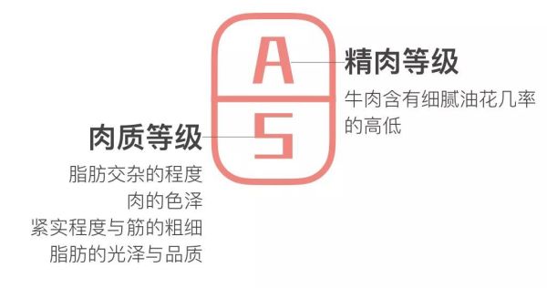 日本和牛解禁了!松阪牛、神户牛…这些品牌都有哪些区别?