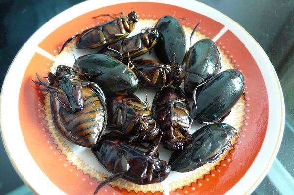 番禺,广州最委屈的美食宝地