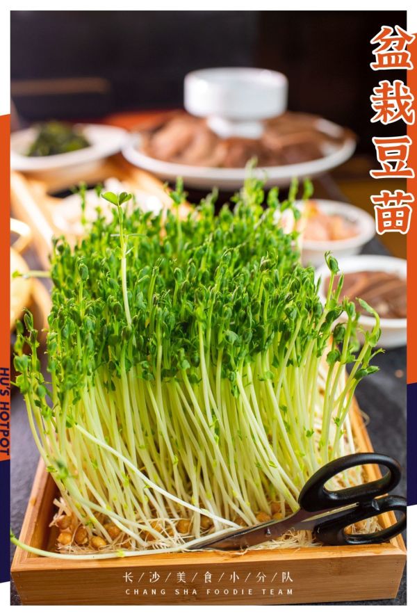 谁说吃毛肚只是四川人的专利?长沙的这种毛肚“全国第一”