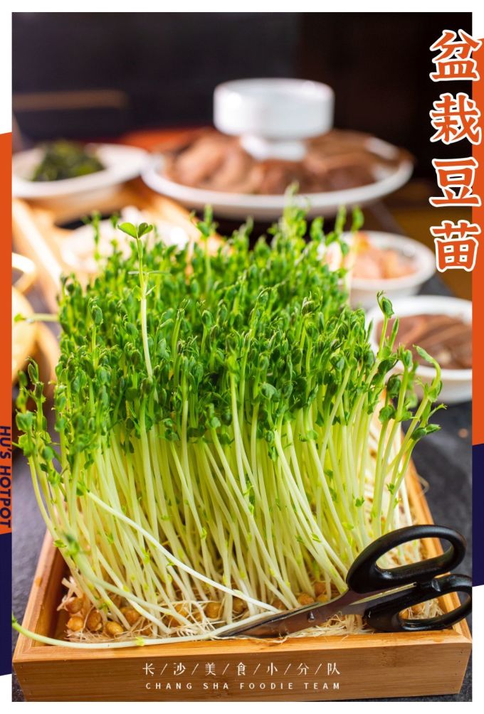 谁说吃毛肚只是四川人的专利?长沙的这种毛肚“全国第一”