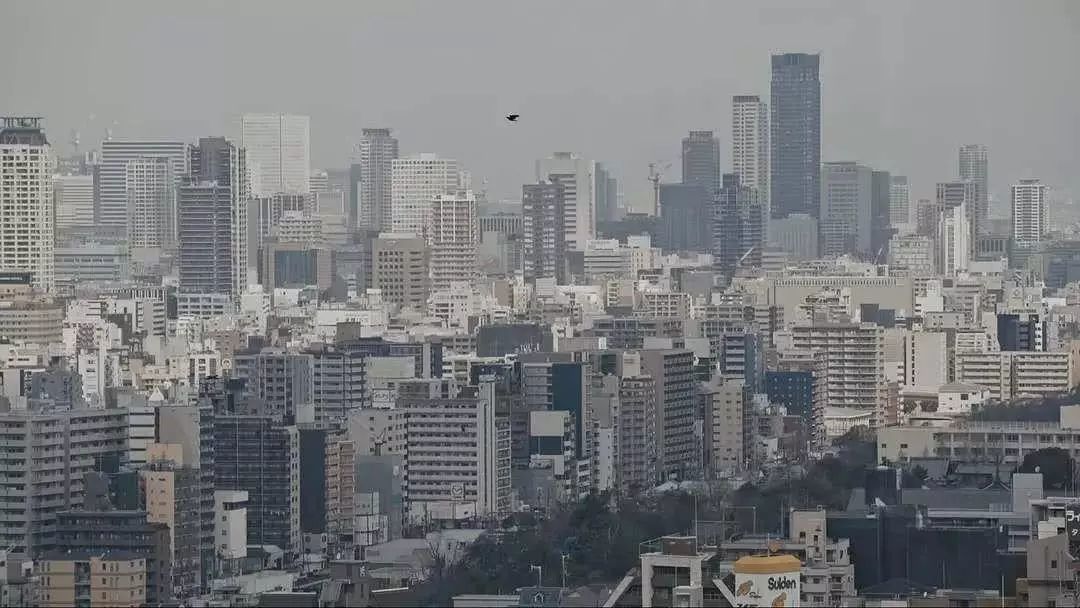 论高级，还没哪部国产综艺能做到这一步