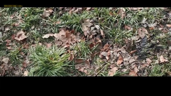 开个房吧,要什么都满足你