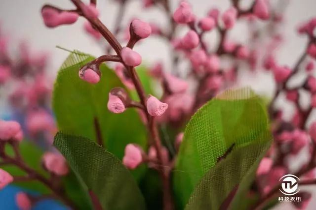 超高性价比，轻便广角定焦首选！腾龙35 F2.8 Di Ⅲ镜头评测