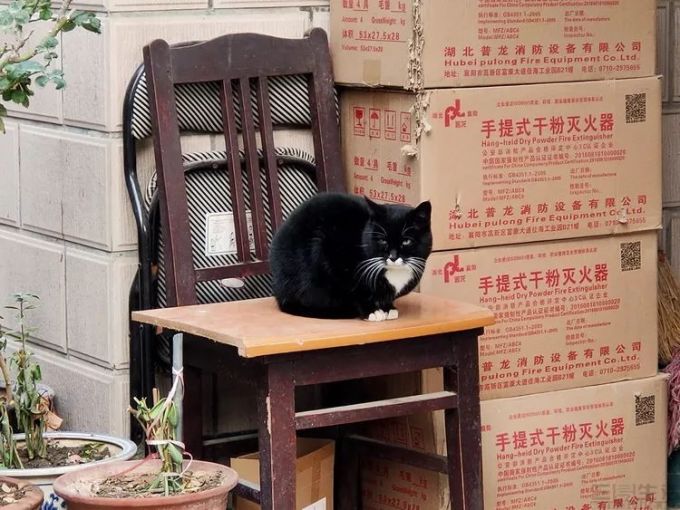 20383638231178.jpg 真我X50 5G评测:背靠5G,追求“真我”风格