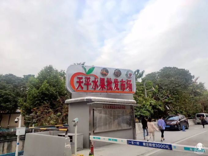 地铁直达!全广州最便宜的水果市场,100蚊可以买一车!