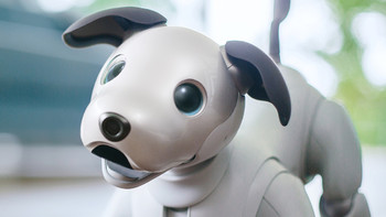 送自己个狗儿子：索尼推出2020焦糖限量版 aibo机器狗，售价约人民币12500元
