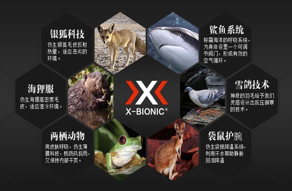 ISPO全球设计奖 | X-Bionic APANI® 4.0 MERINO套装