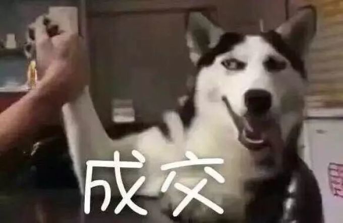 终结痘痘问题,这可能是全网最硬核的战痘手册