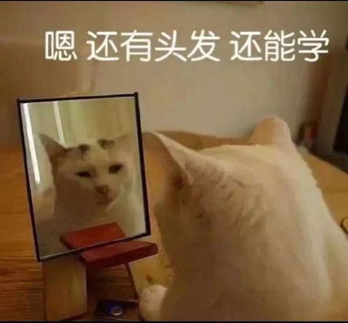 终结痘痘问题,这可能是全网最硬核的战痘手册