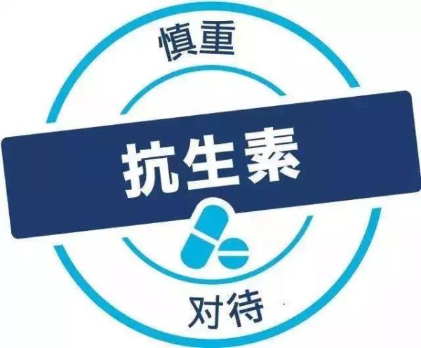 终结痘痘问题,这可能是全网最硬核的战痘手册