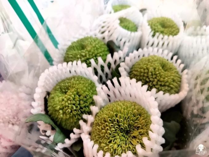 可用096.jpg 富贵竹8蚊/扎,百合10蚊/扎…广州这个花卉市场,买花只要白菜价!