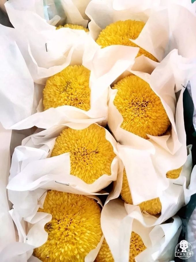 可用095.jpg 富贵竹8蚊/扎,百合10蚊/扎…广州这个花卉市场,买花只要白菜价!