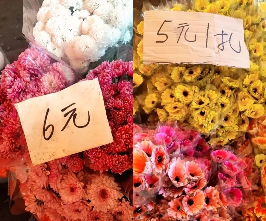 富贵竹8蚊/扎，百合10蚊/扎…广州这个花卉市场，买花只要白菜价！