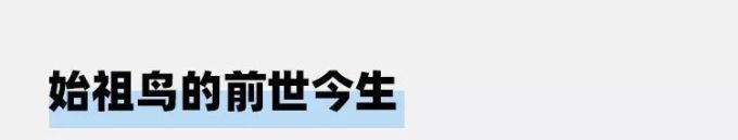 这个户外品牌不用LV和Virgil带货,它也照样能火起来!