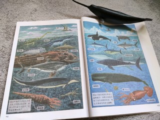 绘本《海洋馆里看不到的海洋动物世界》