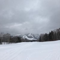 旅界资讯：星野滑雪场发生雪崩！汉莎航空停飞！请注意回程高铁、航班是否被取消