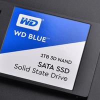 大容量普及先锋 西部数据WD BLUE 1TB SSD评测