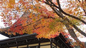 京都大阪赏枫季深度游 篇三：东福寺、伏见稻荷大社、南禅寺、三年坂二年坂、清水寺（多图预警） 