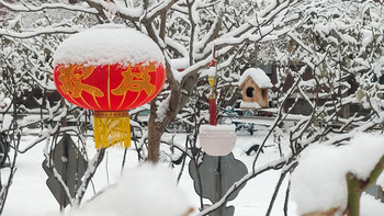 北京生活，爱手机摄影， 篇一：北京的雪天，让世界变化了模样 