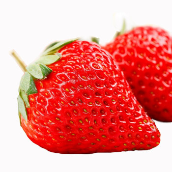 丹东九九草莓-啥是特大果