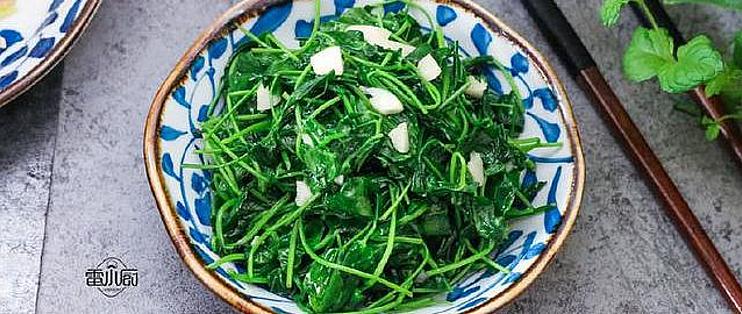 5种春天最受欢迎的野菜 抗菌消炎 懂的人抢着买 生鲜食品 什么值得买