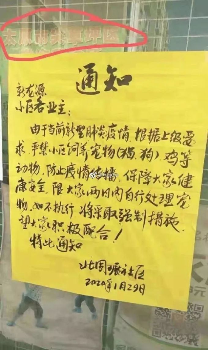 家里的猫狗,会传染新冠状病毒吗?