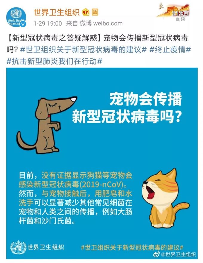 家里的猫狗,会传染新冠状病毒吗?