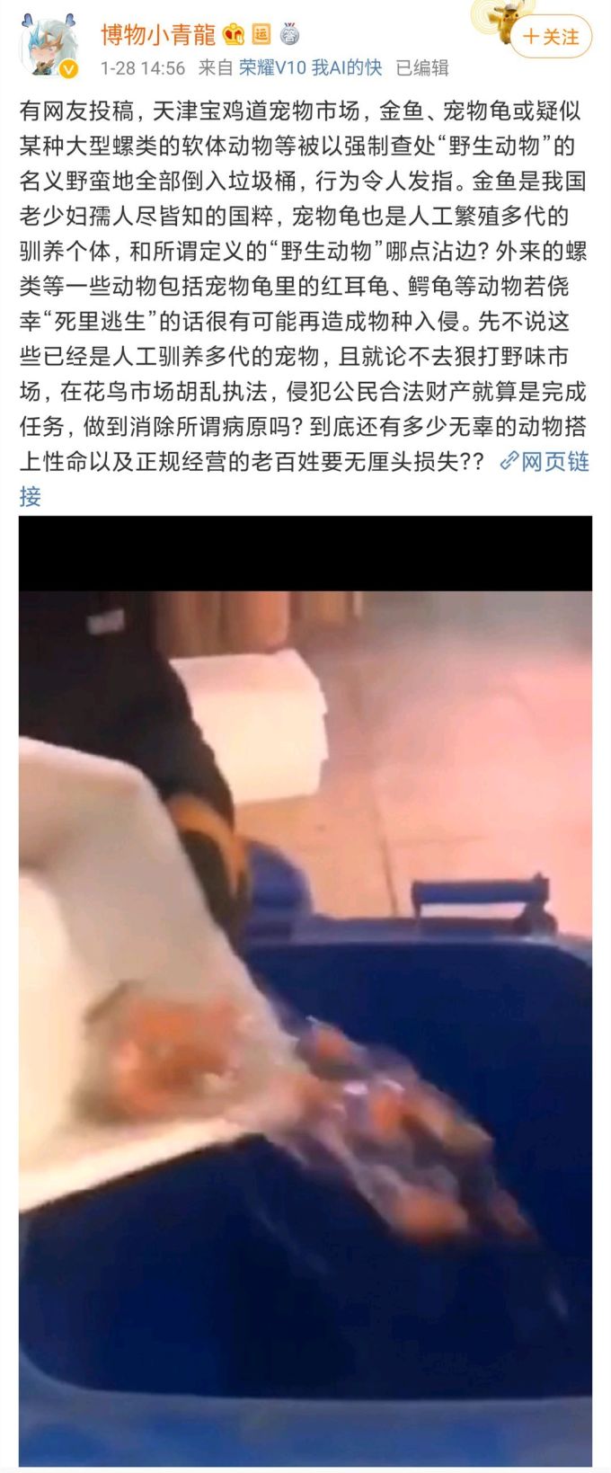 家里的猫狗,会传染新冠状病毒吗?