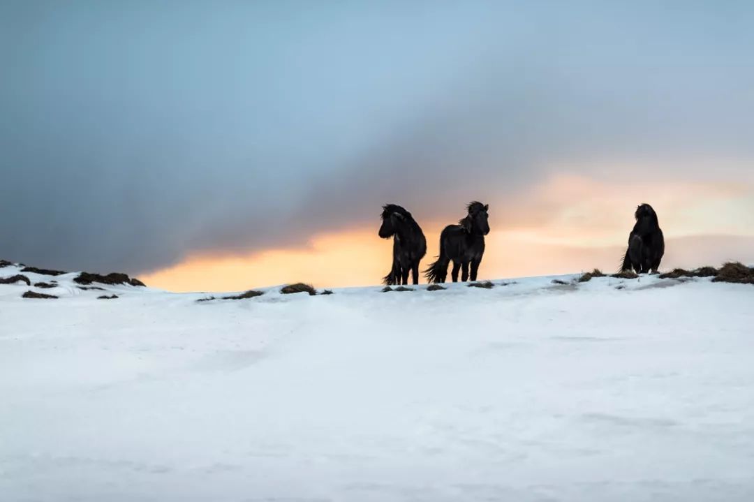这个不怕冷的男人，拍下了冰岛最美的一面！