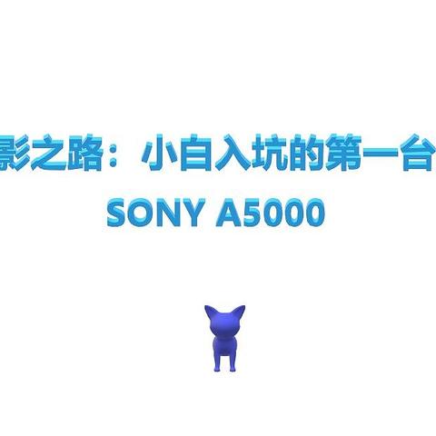 我的摄影之路：小白入坑的第一台机子之SONY A5000