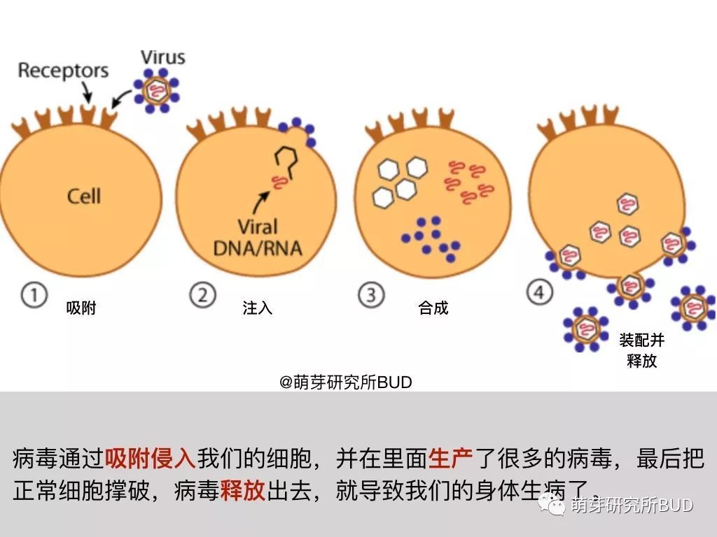 孩子不懂什么是新型冠状病毒，看这篇科普图画，简单通俗易懂
