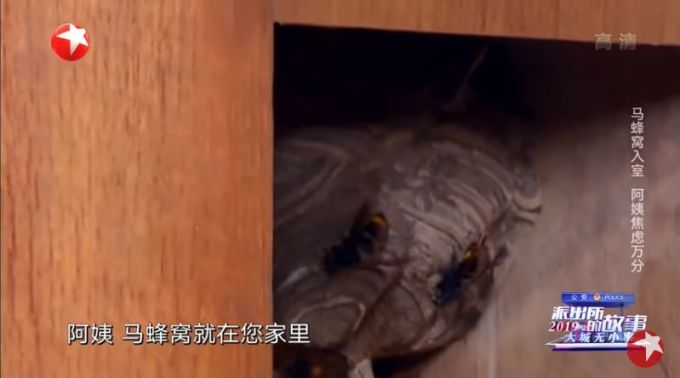 越打码越想看, 这样的良心职场剧必须火