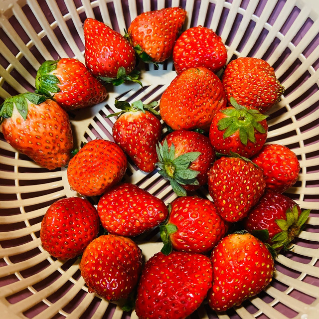 那些年我回购一次又一次的零食