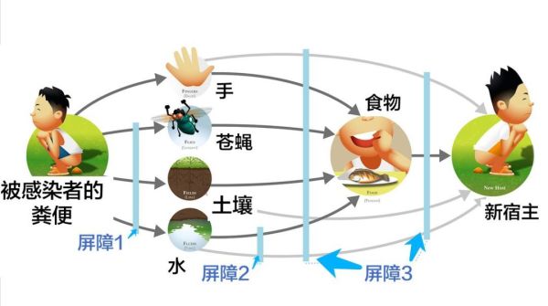 新型冠状病毒有可能通过粪-口传播,我们需要警惕吗?
