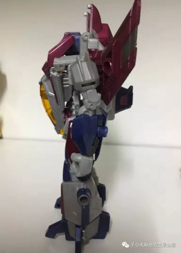 【评玩具】子小天:SPK测评《变形金刚 TG-09红蜘蛛,一款小贵之物》