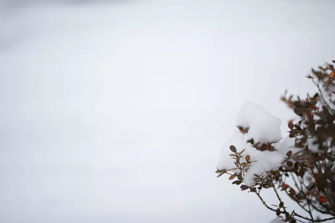 小区里拍雪的两种思路