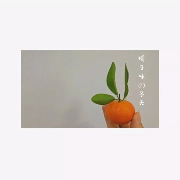 图槽 | 口罩也上阵!宅在家里拍了这些...