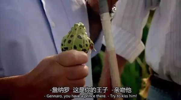 在家看完这些美食片,静待乌云散去后的风清云朗