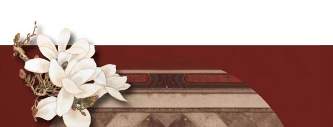 2019年就要过去了,你居然还不知道他?!