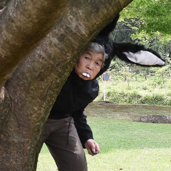 这位72岁学摄影的日本老奶奶,太硬核了!