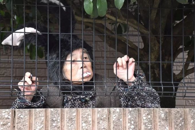这位72岁学摄影的日本老奶奶,太硬核了!